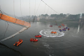 morbi bridge collapse