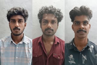 കോട്ടയം  നെഹീദ് നൗഷാദ്  kottayam  youths attacked women and family  പനച്ചിക്കാട്  കുറിച്ചി  അഖിൽ എസ് നായർ  അഫ്‌സൽ  യുവതിയെയും കുടുംബത്തെയും ആക്രമിച്ചു  പ്രതികൾ ആക്രമിച്ചത്  kottayam local news  latest local news