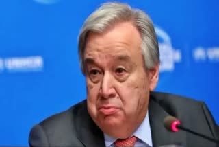 UN chief