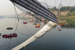 Who is responsible for the hanging bridge tragedy on the Macchu River in Morbi