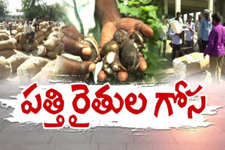 Concern of cotton farmers