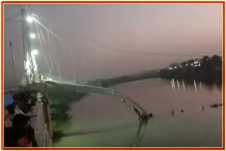 Cable bridge collapsed