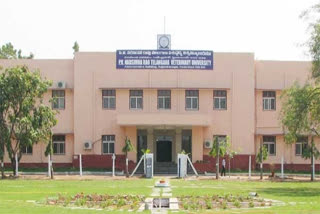 Veterinary college