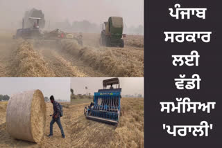 Increased cases of stubble burning in Sangrur