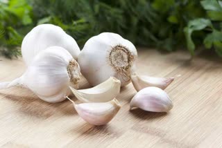 Super Food Garlic Fermented White garlic is black garlic