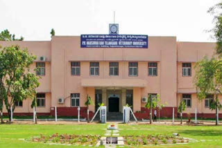 34 veterinary students suspended for ragging at Hyd's PVNRTV University