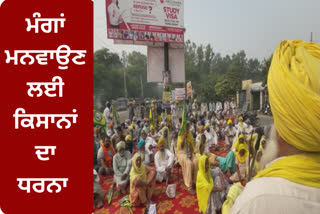 Disturbed by the non-sale of paddy in Sangrur, the farmers staged a sit-in