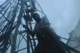 Karnataka: Rescue of an eagle stuck in mobile tower