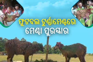 ଫୁଟବଲ ଟୁର୍ଣ୍ଣାମେଣ୍ଟ ଉଦ୍‌ଯାପିତ, ବିଜୟୀ ଦଳକୁ ମିଳିଲା ମେଣ୍ଢା ପୁରସ୍କାର