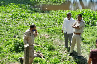 Dead body recover at Kamalpur