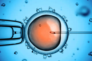 world fertility day ivf technology for reproduction ivf babel community