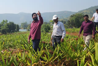 CM Eknath Shinde inspected agriculture in Dare village