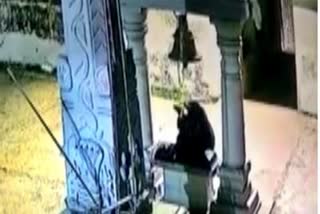 bear that rang the bell in the temple