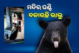 Bear rang the bell in temple of Andhra pradesh video going viral