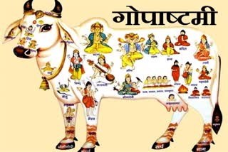 Satna Gopashtami 2022