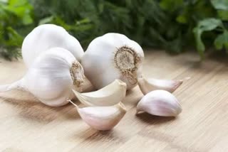 Black Garlic Benefits: କଳା ରସୁଣ ଉପକାରିତା ଜାଣିଲେ ହୋଇଯିବେ ତାଜୁବ୍