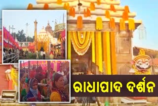 ସାକ୍ଷୀଗୋପାଳ ରାଧାରାଣୀଙ୍କ ରାଧାପାଦ ଦର୍ଶନ ପାଇଁ ଶ୍ରଦ୍ଧାଳୁଙ୍କ ଭିଡ