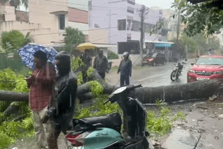 கொட்டும் மழையிலும் அகற்றிய ஊழியர்கள்