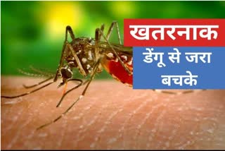 dengue symptoms mild fever knees pain eye irritation low platelet in blood elisa test to confirm dengue prevention