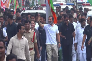 Rahul Gandhi Bharat Jodo Yatra