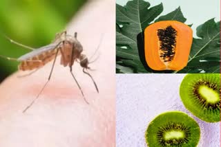 dengue diet