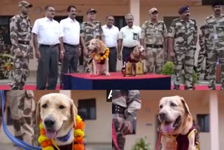 cisf  bids farewell to canine heroes