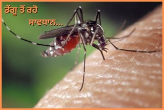 dengue