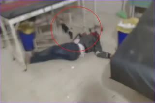 kushinagar-injured-man-lying-on-floor-in-district-hospital-dog-licking-his-blood-watch-video