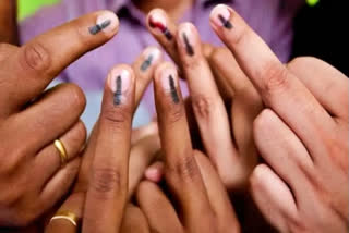 Eight voters to exercise franchise in Himachal Assembly polls at age of 122