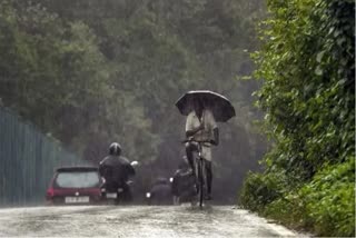 കോട്ടയം ജില്ലയിൽ നവംബർ നാലിന് ഓറഞ്ച് അലേർട്ട്  Rain updates in kottayam  Rain updates  ശക്തമായ മഴയ്‌ക്ക് സാധ്യത  കോട്ടയത്ത് ഇന്ന് ഓറഞ്ച് അലര്‍ട്ട്  കോട്ടയം ജില്ലയില്‍ ഓറഞ്ച് അലര്‍ട്ട്  കോട്ടയം ജില്ല വാര്‍ത്തകള്‍  latest rain updates in kottayam