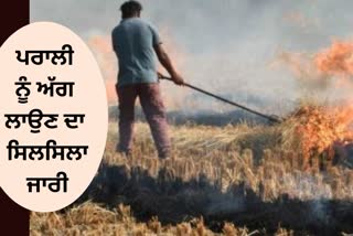 new cases of stubble burning in Punjab