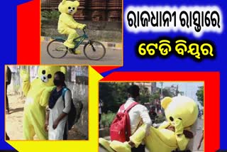 ରାସ୍ତାରେ ବୁଲିଲା ଟେଡି ବିୟର