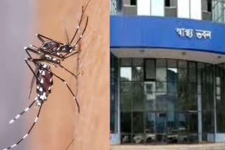 record-dengue-infection-this-year-in-west-bengal