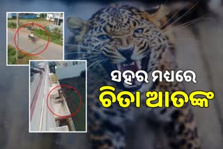 leopard attacked some people in karnataka