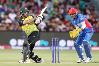 T20 World Cup: Maxwell's fifty takes Australia to 168/8 against Afghanistan