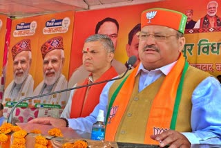 JP Nadda rally in dharampur