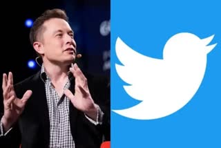 Twitter  twitter fired total employees in india  includinmg marketing manager  elon musk  latest news in newdelhi  latest news today  twitter employees firing  latest international news  ട്വിറ്ററിര്‍ പിരിച്ചുവിടല്‍  മാര്‍ക്കറ്റിങ് മേധാവിയടക്കം കൂട്ടത്തോടെ പുറത്ത്  ഇലോണ്‍ മസ്‌ക്  ട്വിറ്ററിന്‍റെ വരുമാനത്തില്‍ വ്യാപകമായ ഇടിവ്  പരാഗ് അഗര്‍വാളടക്കം  ന്യൂഡല്‍ഹി ഏറ്റവും പുതിയ വാര്‍ത്ത  ഇന്നത്തെ പ്രധാന വാര്‍ത്ത  ഏറ്റവും പുതിയ ദേശീയ വാര്‍ത്ത