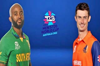 SA vs NED  T20 World Cup  T20 World Cup 2022  Adelaide Oval  दक्षिण अफ्रीका और नीदरलैंड  टी20 विश्व कप  एडिलेड ओवल