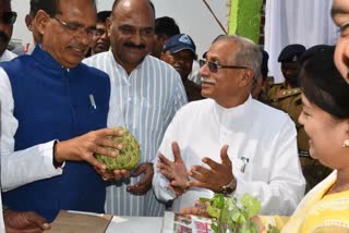 shivraj singh instructions to popularize jumbo sitaphal