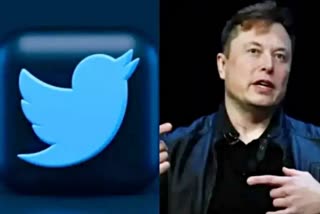 Elon Musk React on Twitter Layoffs