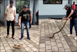 nomore-fear-of-snakes-sarppa-app-to-help-snake-rescue