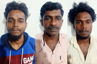 അയല്‍വാസിയെ ആക്രമിച്ചു  Kottayam Kaduthuruthi attack case  three men arrested in Kaduthuruthi attack case  Kottayam Kaduthuruthi  Kottayam Kaduthuruthi  കോട്ടയത്ത് യുവാവിനെ ആക്രമിച്ചു  കടുത്തുരുത്തിയില്‍ യുവാവിന് മര്‍ദനം  ഹോണ്‍ അടിച്ചതിന് യുവാവിന് മര്‍ദനം  പൂഴിക്കോൽ  കടുത്തുരുത്തി  കടുത്തുരുത്തി പൊലീസ്