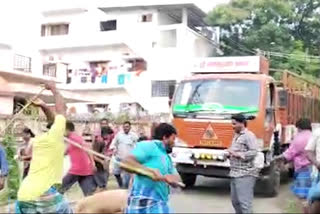 పందుల తరలింపు