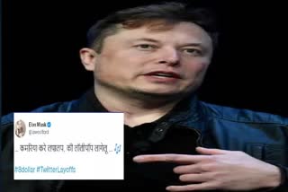 Elon Musk tweet on bhojpuri song kamariya kare lapalap