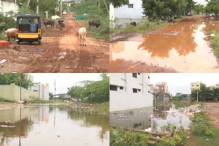 No drainage Facilities In Nellore