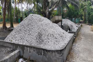 Lime shell industry crisis  Alappuzha Lime shell industry crisis  Lime shell industry  Lime shell  കക്ക വ്യവസായം  കക്ക വ്യവസായം ആലപ്പുഴ  കക്ക വ്യവസായം പ്രതിസന്ധിയില്‍  ആലപ്പുഴയിലെ കക്ക വ്യവസായം  കുമരകം കക്ക സംഭരണ സംഘം  ട്രാവന്‍കൂര്‍ സിമന്‍റ്സ്  കക്കയുടെ വില്‍പന  കക്ക സംഭരണം  കെഎംഎംഎല്‍ ചവറ  മന്നം ഷുഗര്‍ മില്‍  Kumarakom Lime shell industry crisis