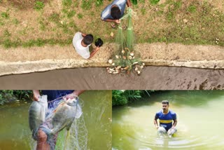 Fresh water Fish farming Idukki  Fresh water Fish farmer Nikson Valiyathovala  Fresh water Fish farming  Fresh water Fish farming crisis  Fresh water Fish farming challenges  fish farming idukki  ശുദ്ധജല മത്സ്യ കൃഷി  ഇടുക്കിയിലെ ശുദ്ധജല മത്സ്യ കൃഷി  ശുദ്ധജല മത്സ്യ കൃഷിയിലെ പ്രതിസന്ധി  ശുദ്ധജല മത്സ്യ കര്‍ഷകന്‍ നിക്‌സണ്‍