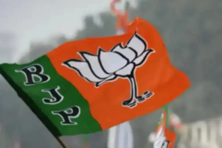 Election Bypoll Results bjp wins in UP hariyana  Election Bypoll Results  Election Bypoll Results 2022  യുപിയും ഹരിയാനയും നിലനിര്‍ത്തി ബിജെപി  ധാംനഗറിലും മുന്നേറ്റം  ഉത്തര്‍പ്രദേശ്  നിയമസഭ ഉപതെരഞ്ഞെടുപ്പില്‍ ബിജെപിക്ക് വിജയം