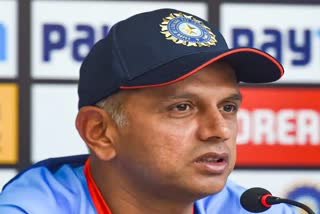 Suryakumar Yadav  Rahul Dravid  Rahul Dravid on Suryakumar Yadav  T20 World Cup  Suryakumar Yadav news  सूर्यकुमार यादव  राहुल द्रविड़  सूर्यकुमार यादव पर राहुल द्रविड़  टी20 वर्ल्ड कप  सूर्यकुमार यादव न्यूज  सूर्यकुमार  Suryakumar