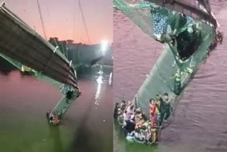 Gujarat High Court  morbi bridge collapse  suo motu cognisance  മോര്‍ബി തൂക്കുപാലം അപകടം  ഗുജറാത്ത് ഹൈക്കോടതി  ഗാന്ധിനഗര്‍  ഗുജറാത്ത്  Gujarat